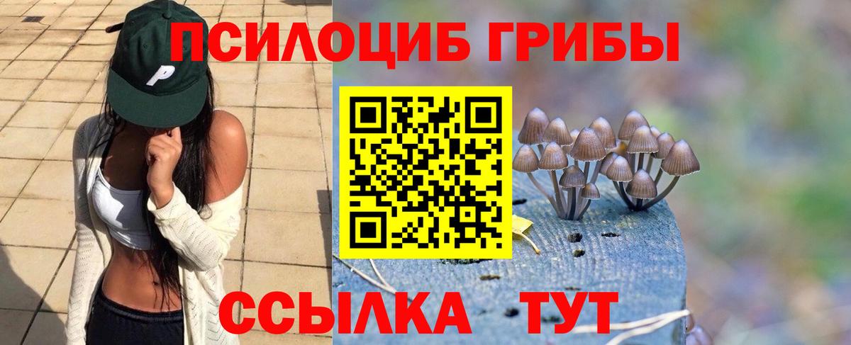 Черкесск  Галлюциногенные грибы мицелий  Вход с VPN 